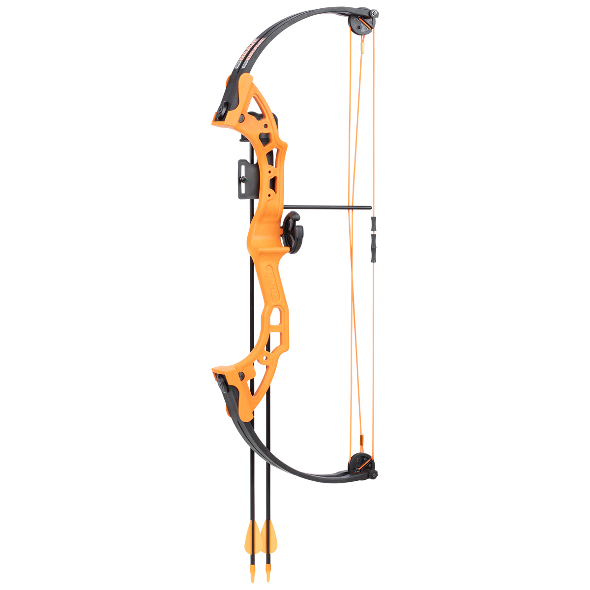 From compound to recurve