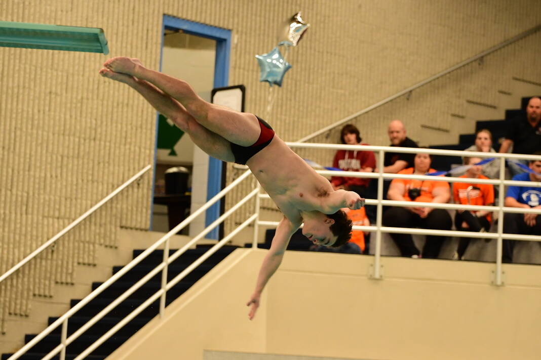 How did the Lakeview, Marshall swimmers, divers do at the state finals?