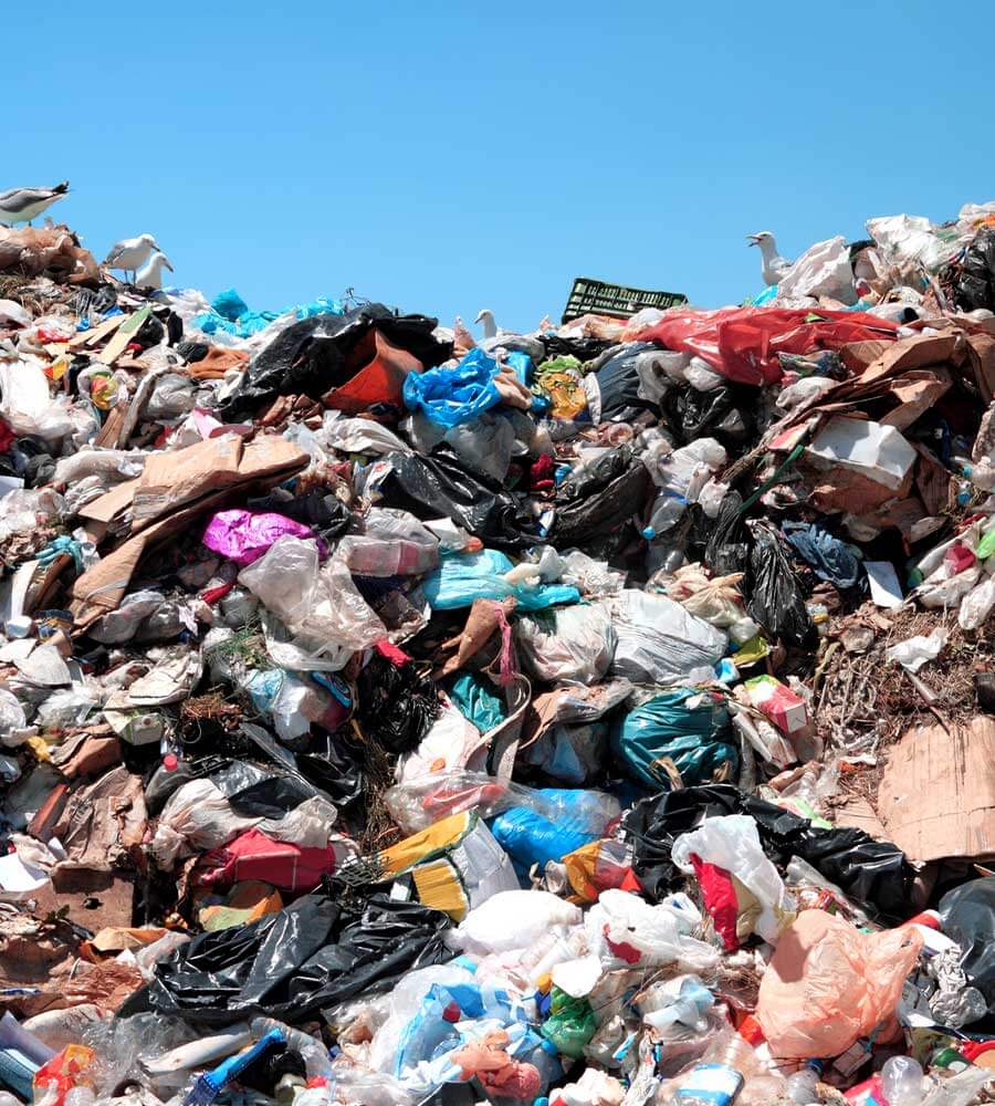 How much money is actually lost to fraud, waste in the US?