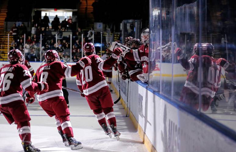 Men's Hockey Falls to Denver in NCAA Regional Final