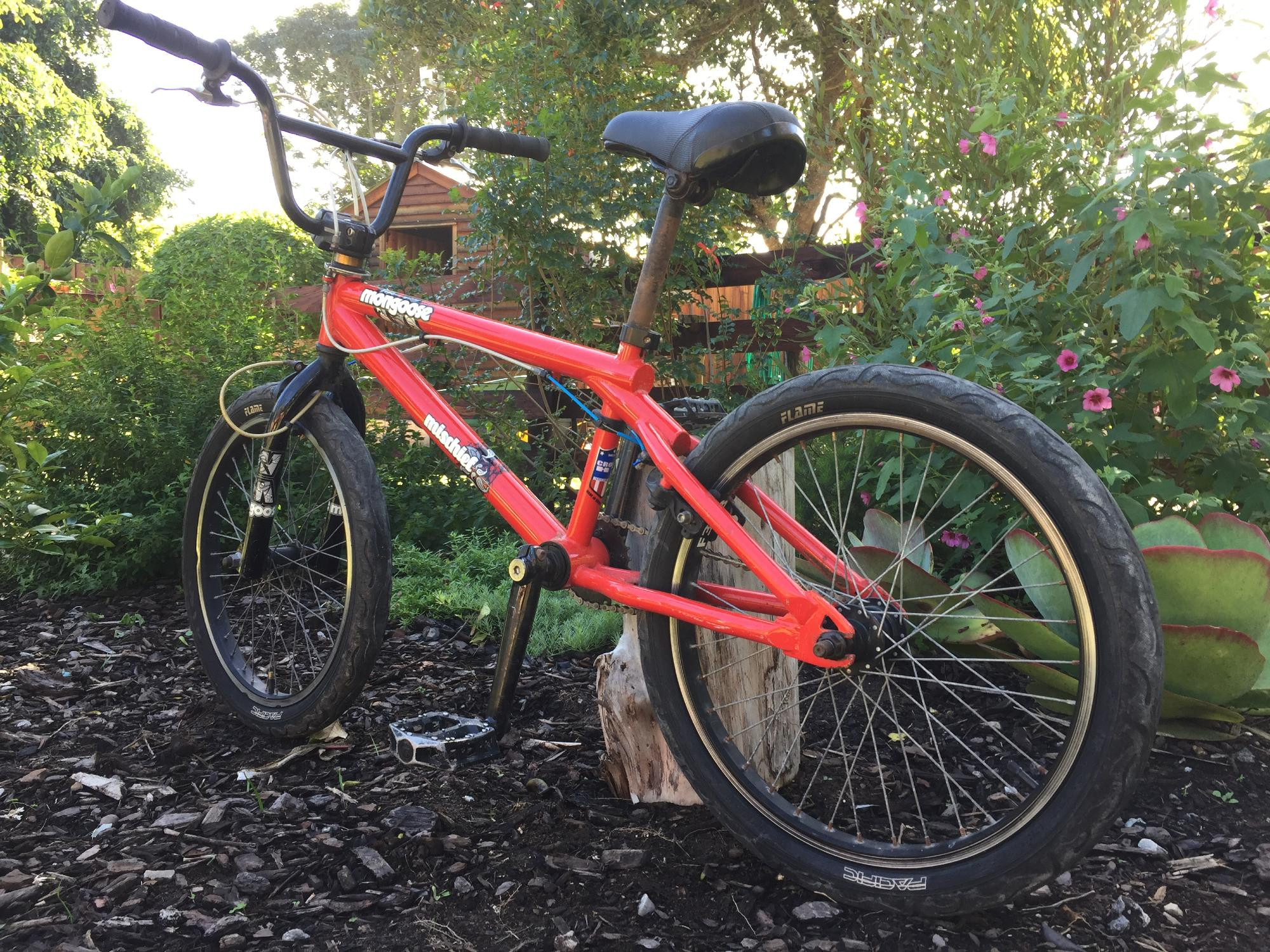 Mongoose Mischief