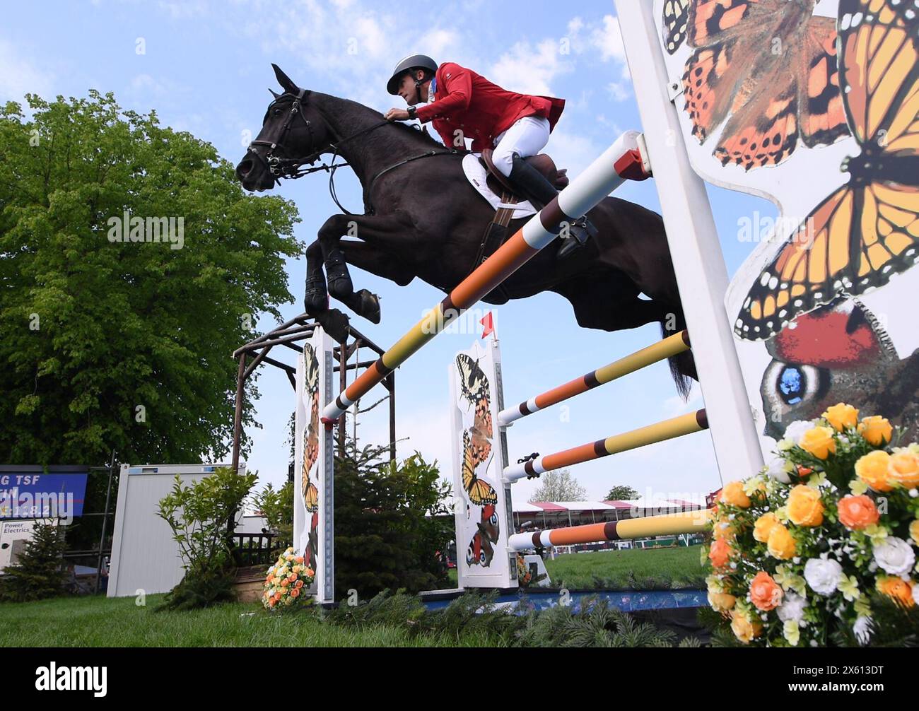 Olympic medallists set for MARS Badminton Horse Trials