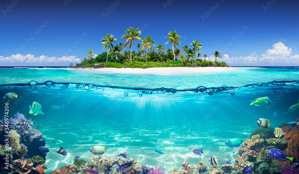 Tropical