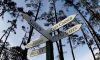 2025 Masters TV schedule, coverage, channel, live stream, how to watch online ...