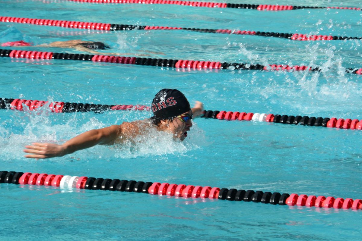 A Deep Dive into Athletes Dietary Habits
