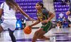 Arizona women's basketball adds first post player to transfer class