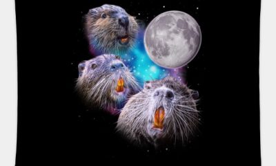Beavers Start Three