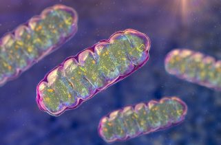 Blood test could detect Parkinson's disease before symptoms emerge