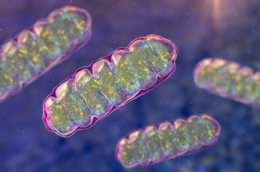 Blood test could detect Parkinson's disease before symptoms emerge