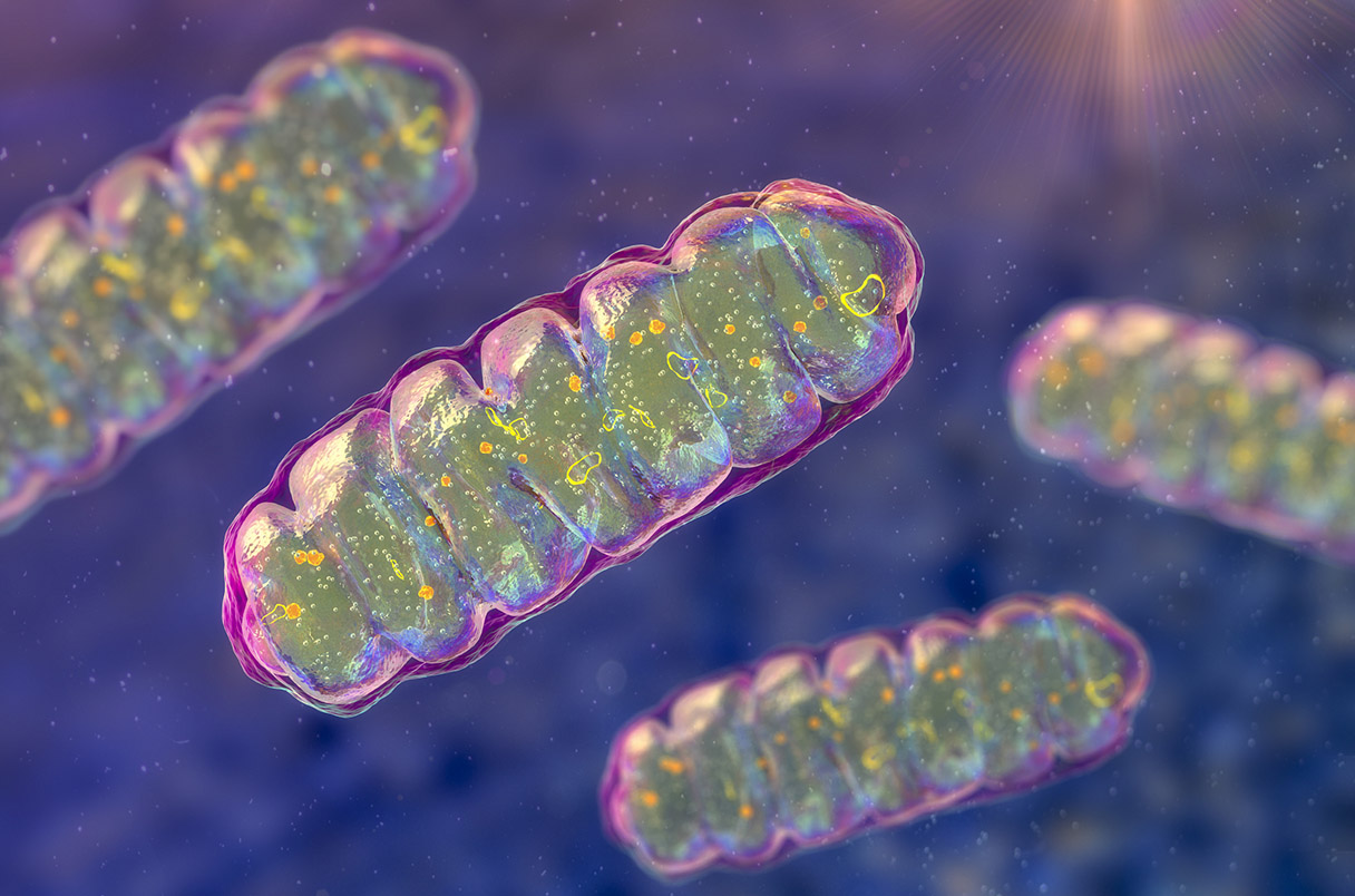 Blood test could detect Parkinson's disease before symptoms emerge