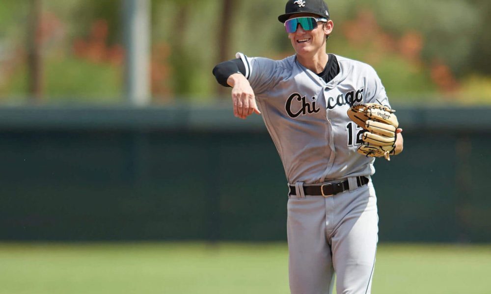 Chicago White Sox Minor League Update