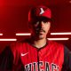 Chicago White Sox Weekly Minor League Update