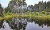 Coastal Gardening Festival