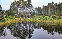 Coastal Gardening Festival