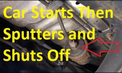 Cristian Hernandez, Jaxon Wiggins, Continue Hot Starts as Affiliates Sputter