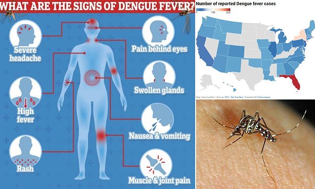 Dengue Outbreaks