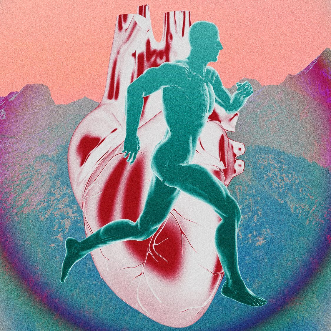 Do I Really Need To Do Zone 2 Cardio? Experts Reveal The Truth