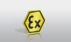 Ex