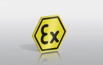 Ex