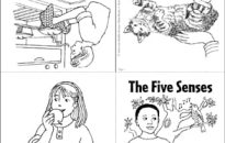 Five science