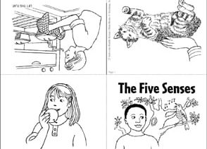 Five science