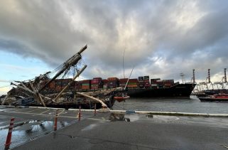 Fremantle Launches Non