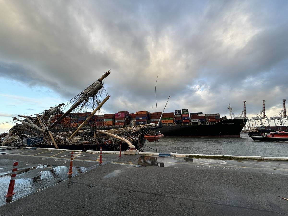 Fremantle Launches Non