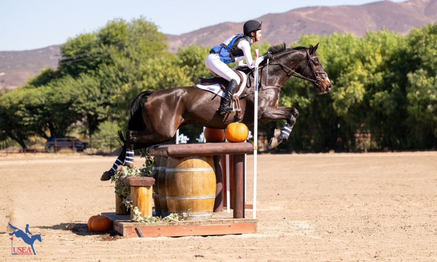 Galway Downs is no longer 2028 L.A. Olympics equestrian venue