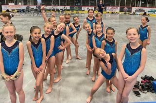 Gymnasts have successful provincials
