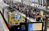 Hammer and Rails Reader Reacts Survey