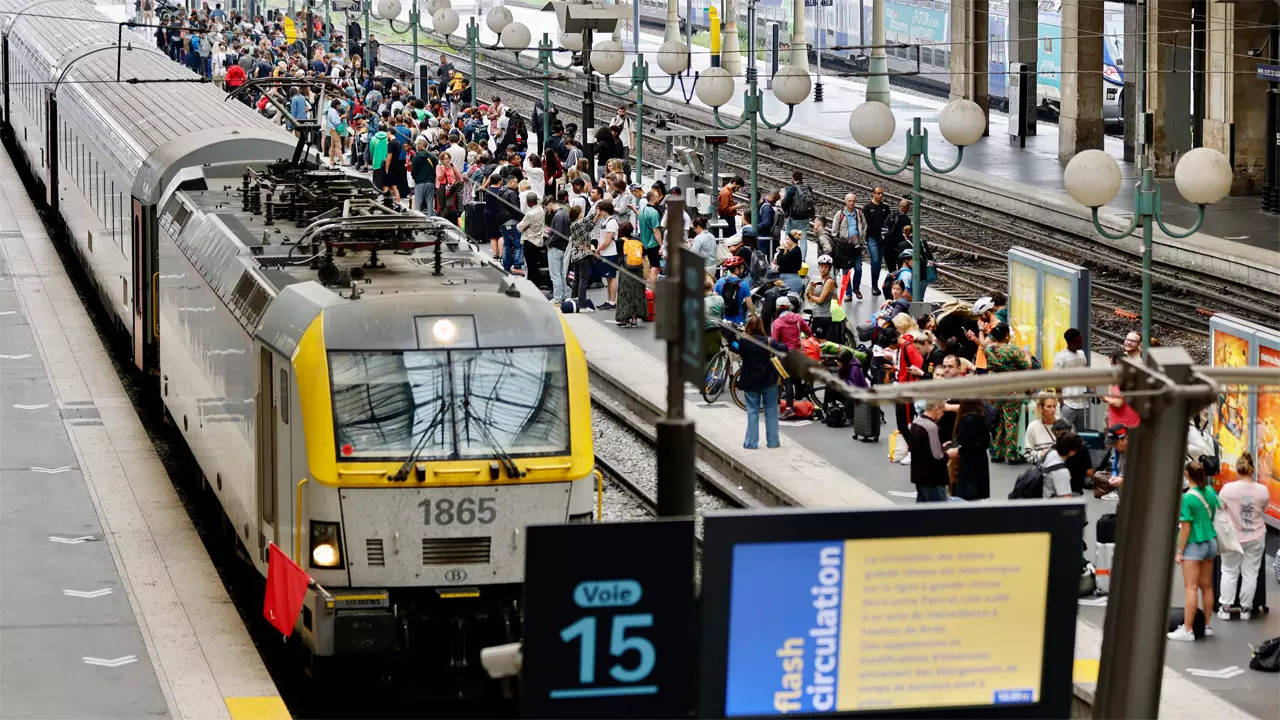 Hammer and Rails Reader Reacts Survey