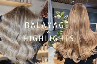 Highlights