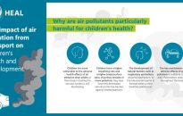 How Air Pollution Impacts Brain Health