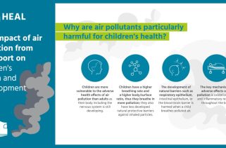 How Air Pollution Impacts Brain Health
