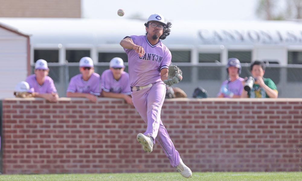 Monday Baseball Roundup