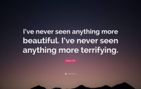 'Never seen anything like this'