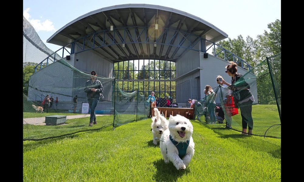Plymouth's Bark in the Park is Saturday, May 17