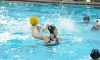 Rainbow Wahine clinch Big West water polo regular season title