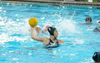 Rainbow Wahine clinch Big West water polo regular season title
