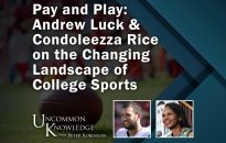 Rice sports