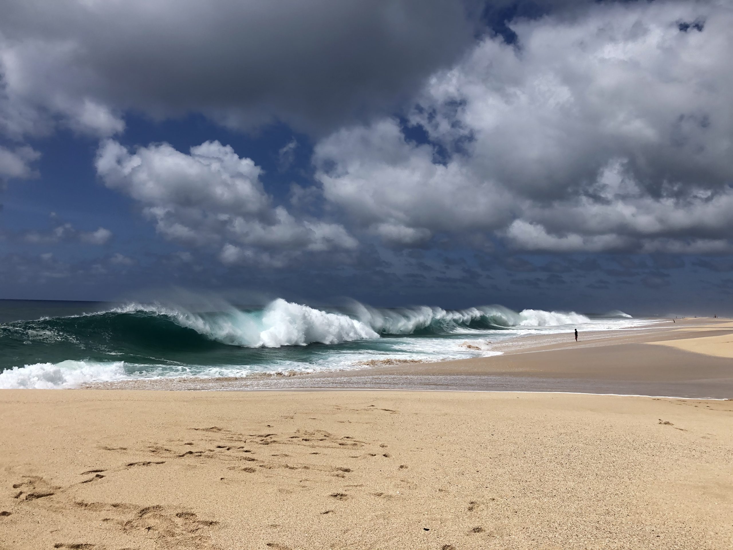 Six drowning deaths as huge waves hit Australian coast