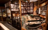 SOOKE HISTORY