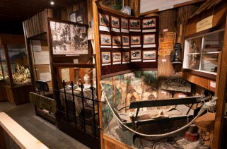 SOOKE HISTORY