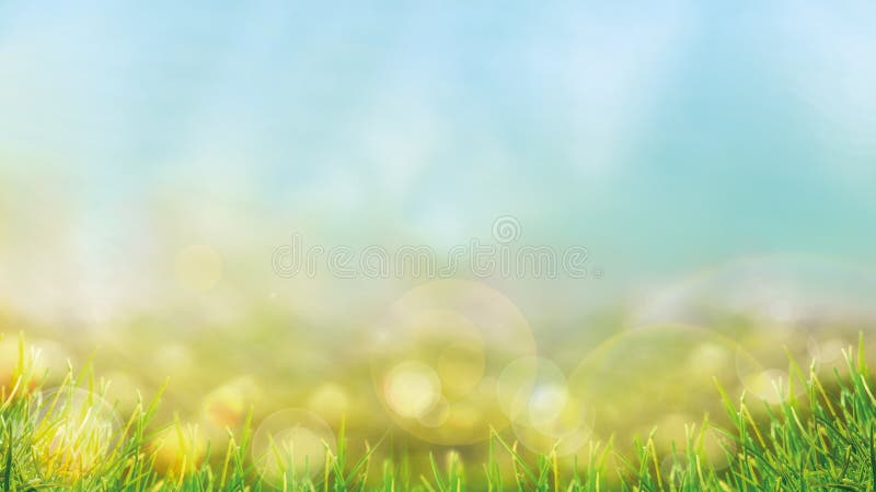 Spring FB Interviews