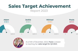 Target Report