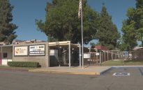 Temecula city leaders continue plea for answers after LA2028 committee opts for different ...