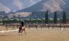 Temecula hopes to host Olympic equestrian events