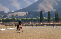 Temecula hopes to host Olympic equestrian events