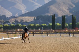 Temecula hopes to host Olympic equestrian events