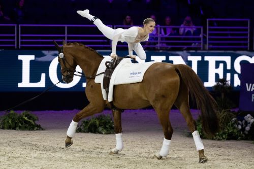 U.S. Vaulting Takes Center Stage at FEI Vaulting World Cup™ Final in Basel